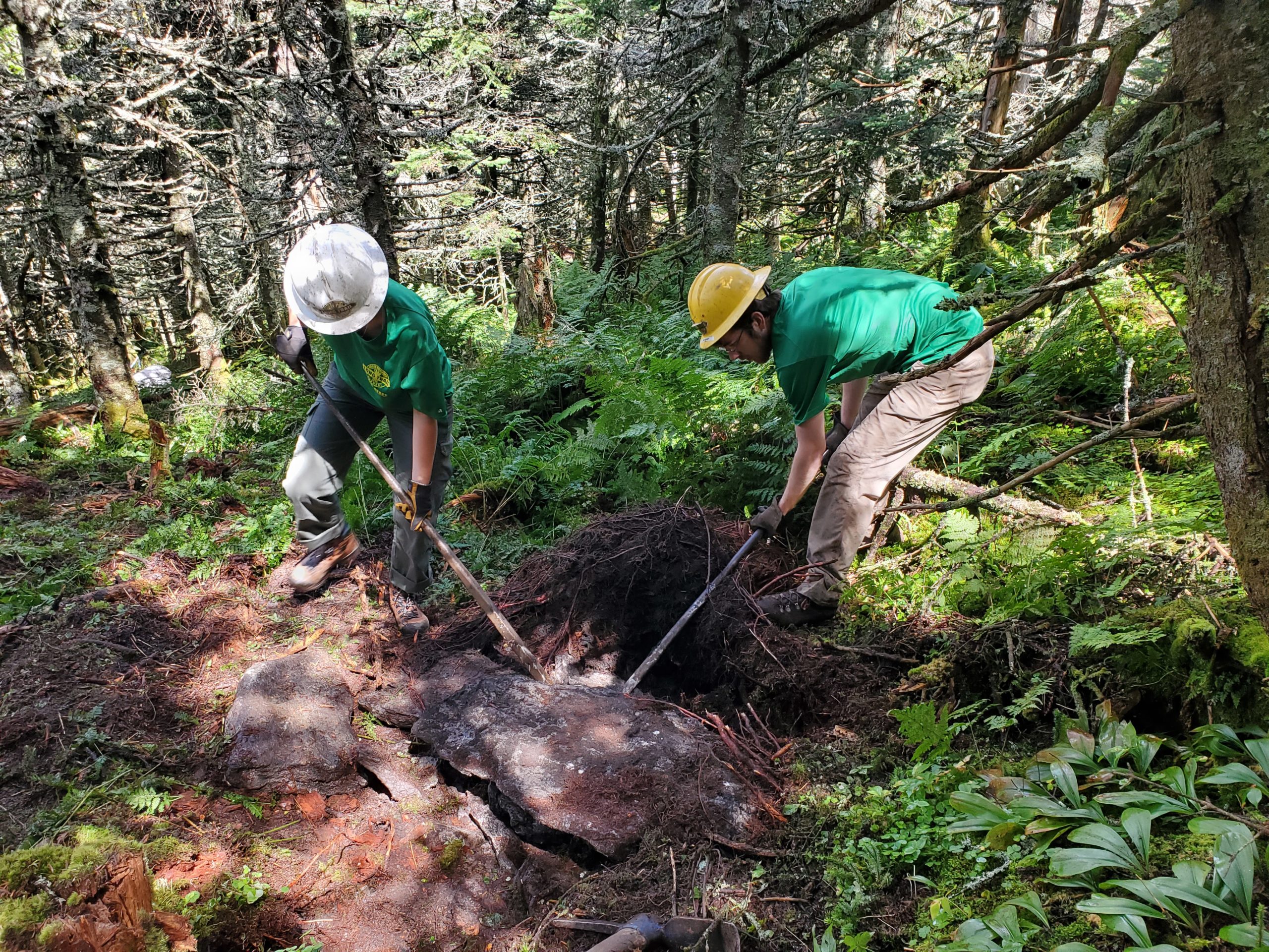 Burrows Trail Caretaker Help