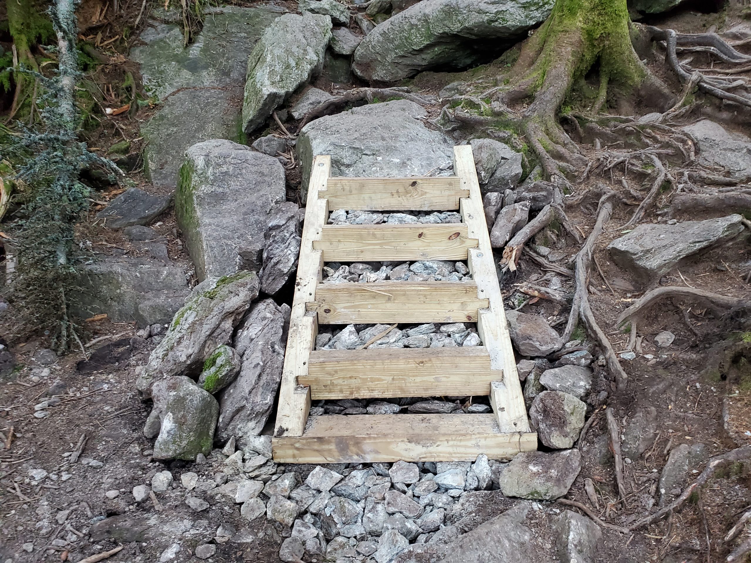 Burrows Trail Wooden Staircase