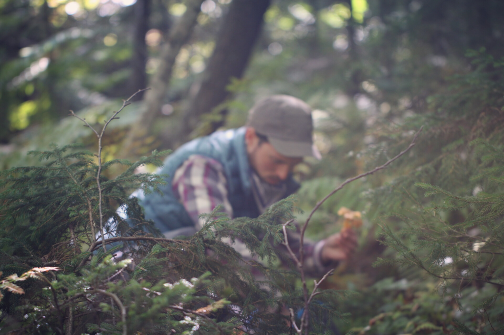 Mushroom foraging expert Ari Rockland-Miller