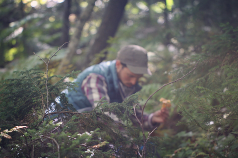 Meet The Mushroom Forager (+ Sign Up for the Green Mountain
