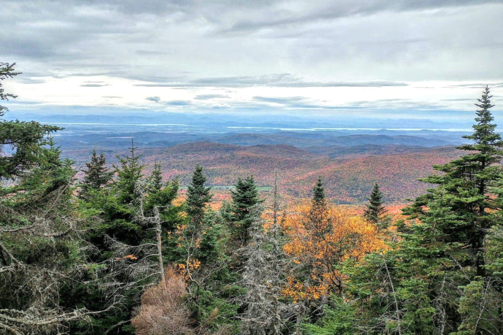 View from Mt. Abraham