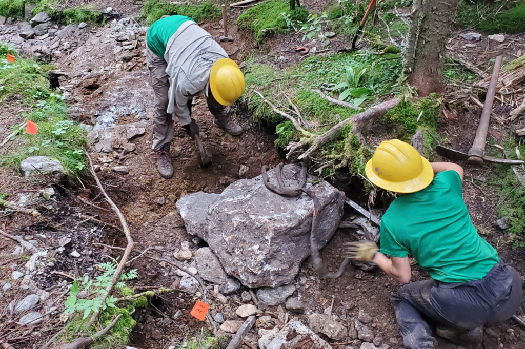 Crews put in checksteps during the Burrows Trail rehabilitation to prevent further erosion.