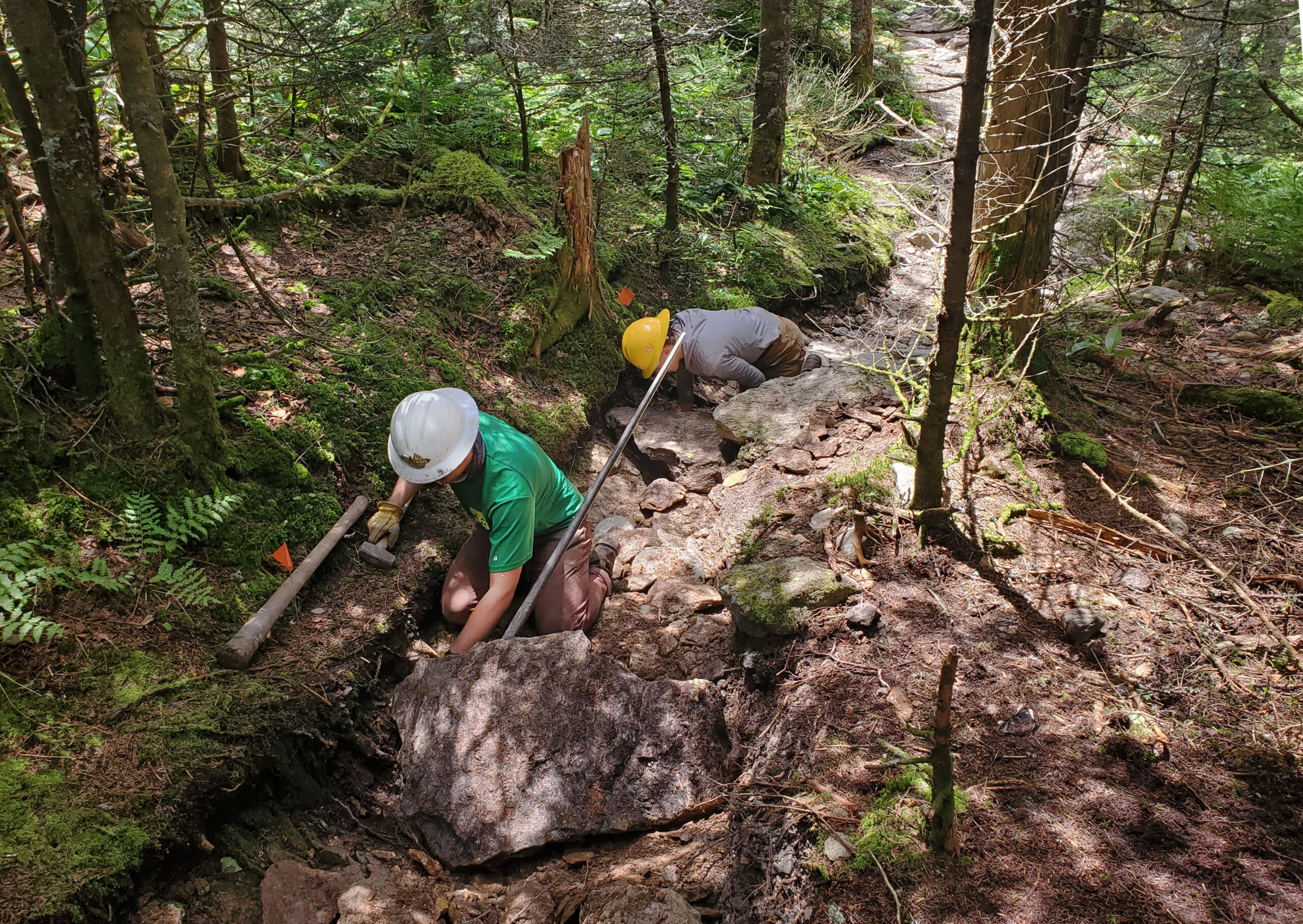 Burrows Trail June 2022, water bar construction