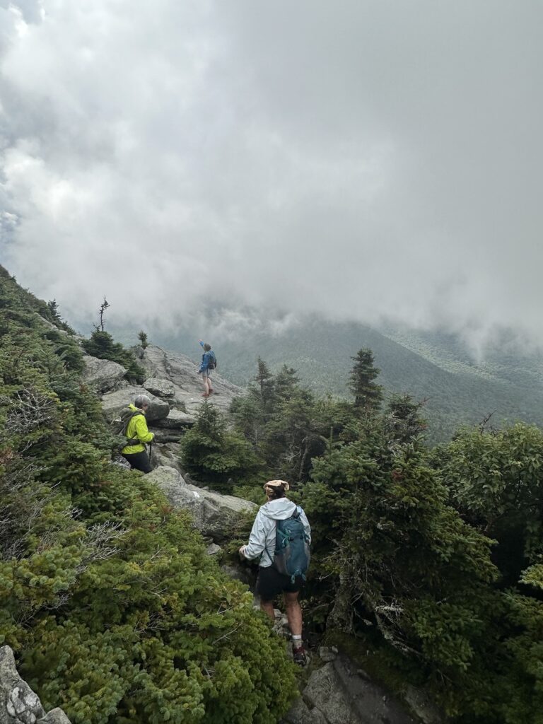 hikers descend a rocky trail lined by fir trees