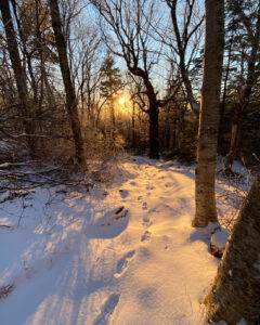 footsteps on the snowy trail