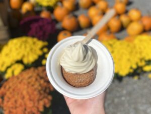 a bowl with a cider donut topped with a maple creemee, held against a backdrop of pumpkins and mums