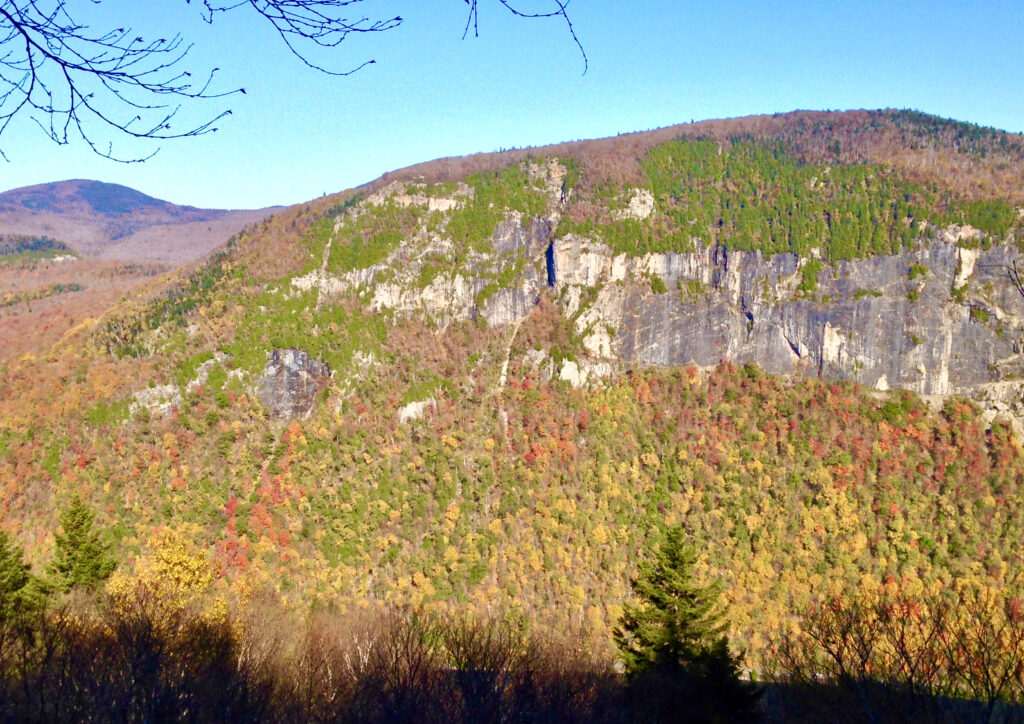 a scenic image of green, yellow, and red trees and a rocky cliff