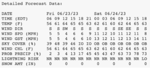 screenshot of a summit forecast detail