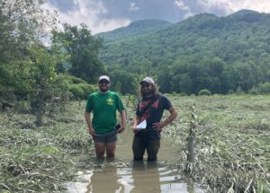 gmc field staff stand thigh-deep in water on the Long Trail in the Winooski Valley