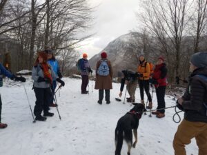 hikers and dogs gather in a snowy clearing