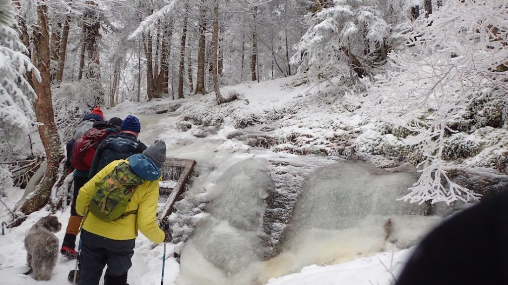 hikers approach a flow of ice on the Butler Lodge Trail