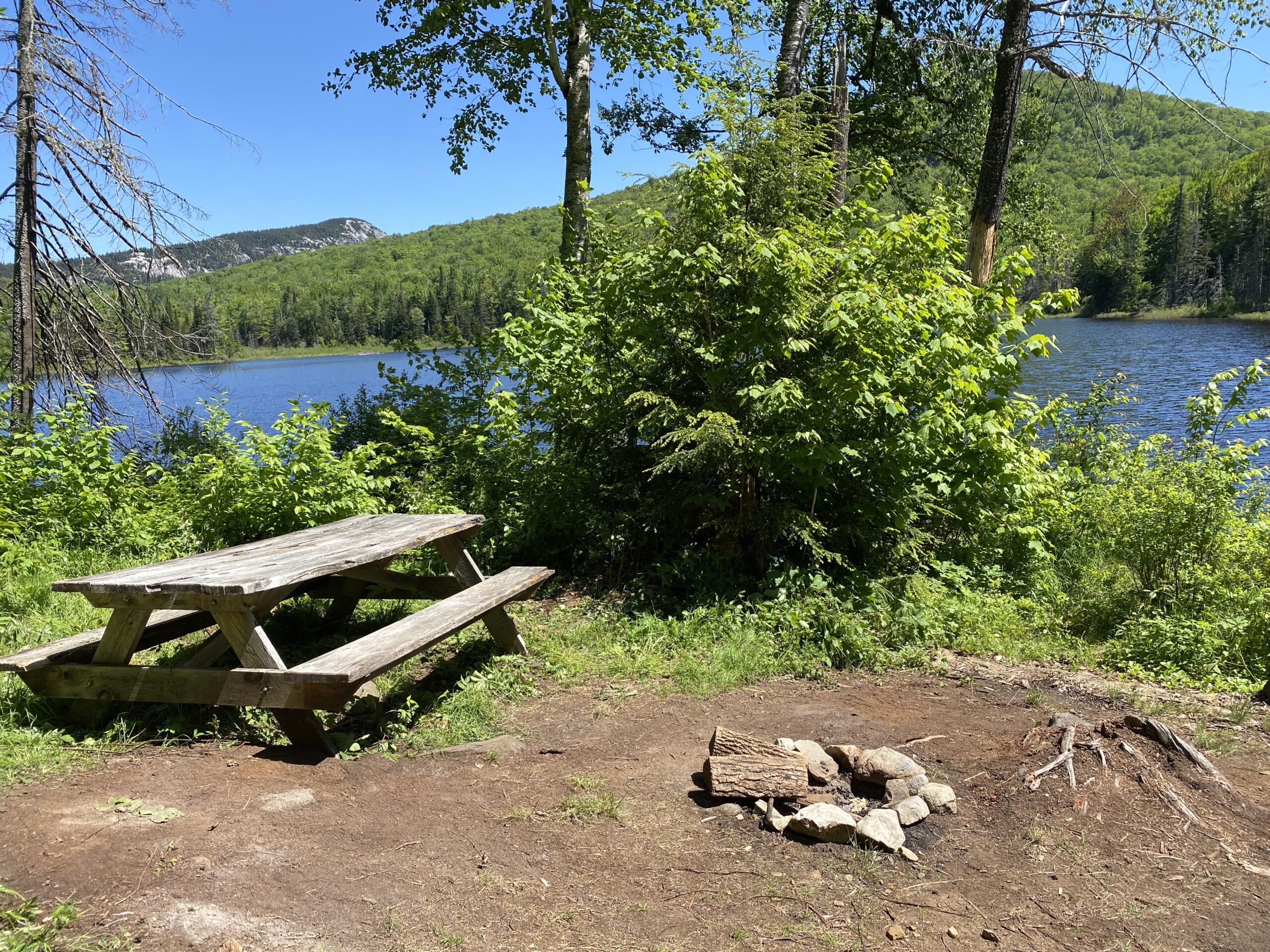 Jean Haigh Cabin, picnic table