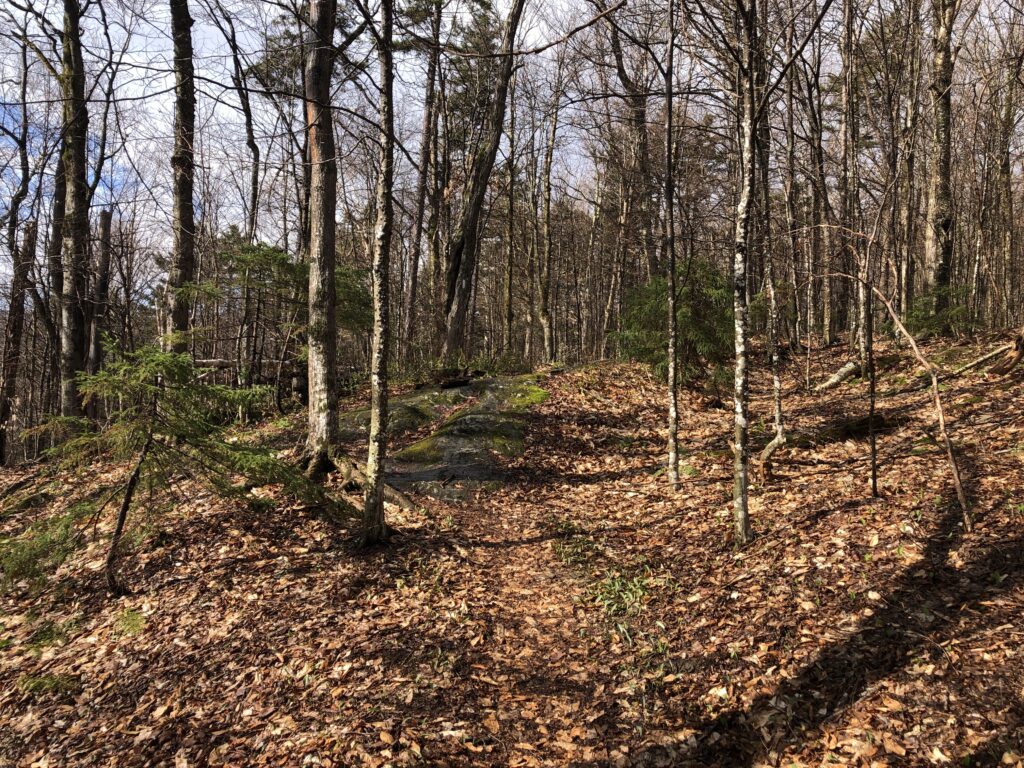 long trail protection