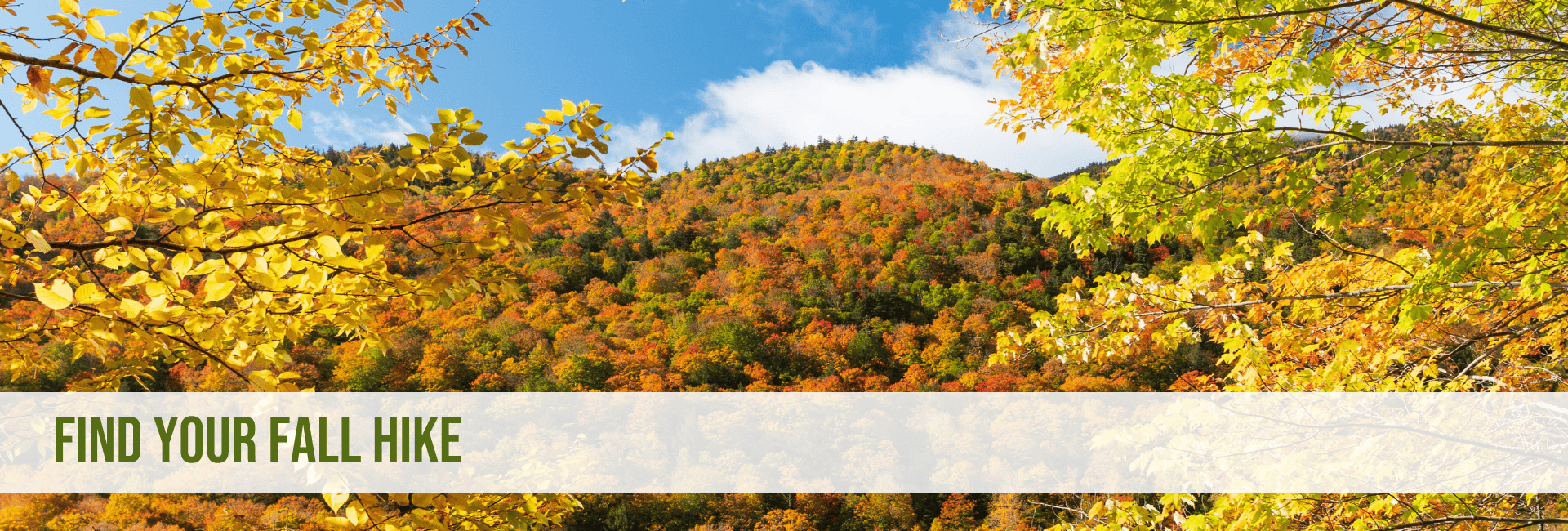 scenic foliage and text reading find your fall hike