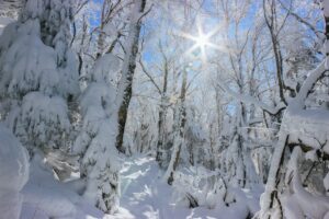 battell trail covered in snow
